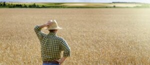 droit-préemption-du-fermier-en-cas-de-vente-terrain-agricole